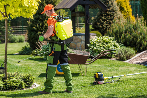 Best Lawn Pest Control  in Westerville, OH